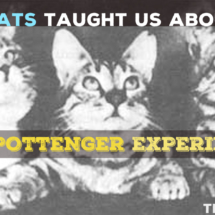 Pottenger Experiment