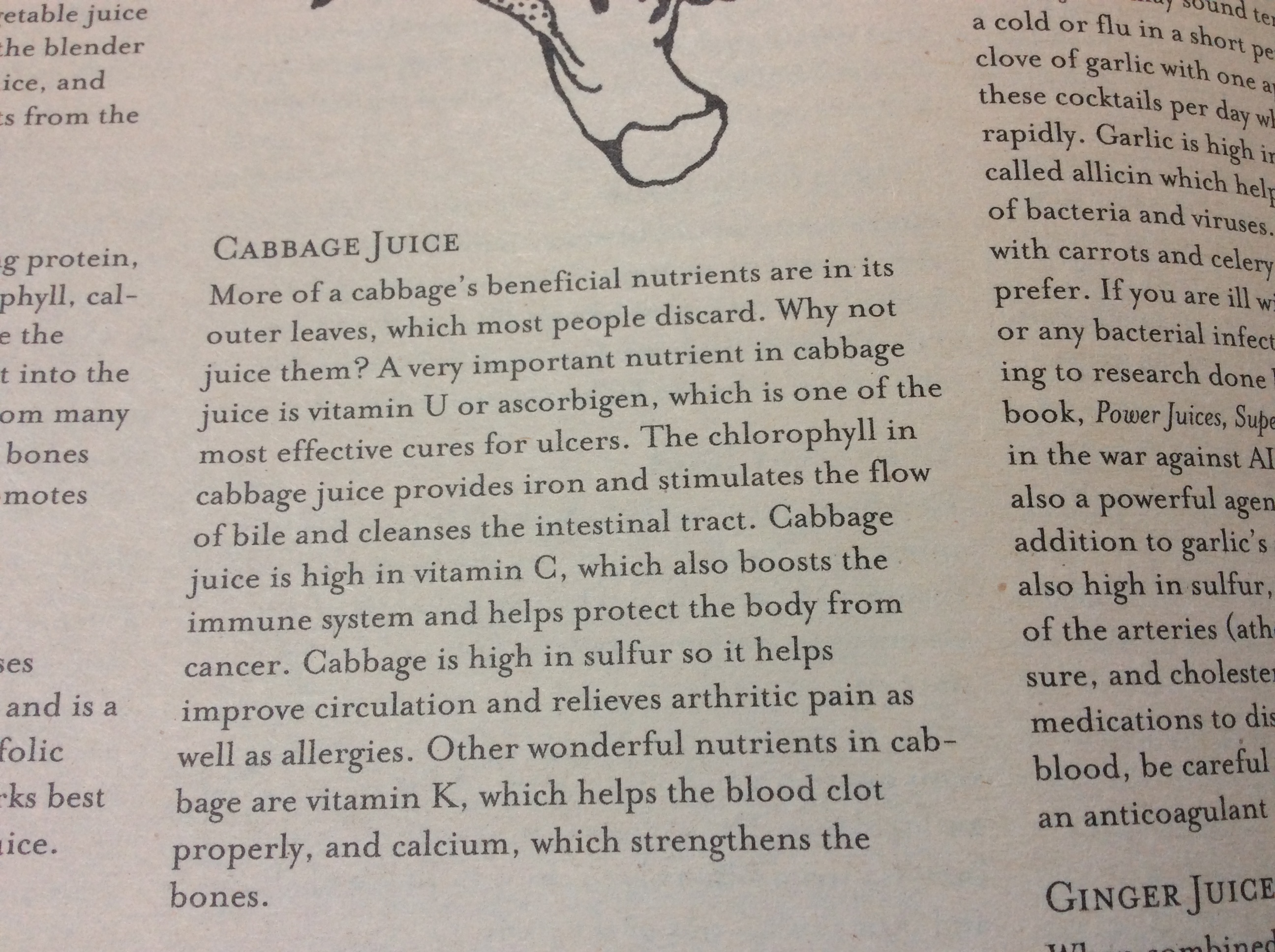 vegetable juicing tips Cabbage